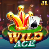 Wild Ace 6223 slot